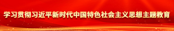 美女日笔免费看学习贯彻习近平新时代中国特色社会主义思想主题教育